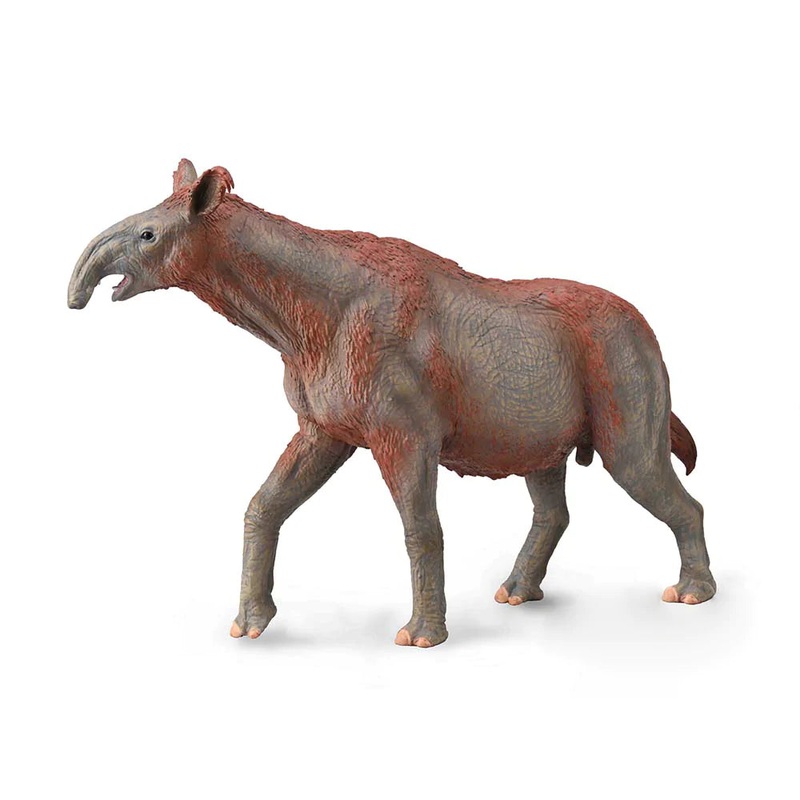 DLX Paraceratherium