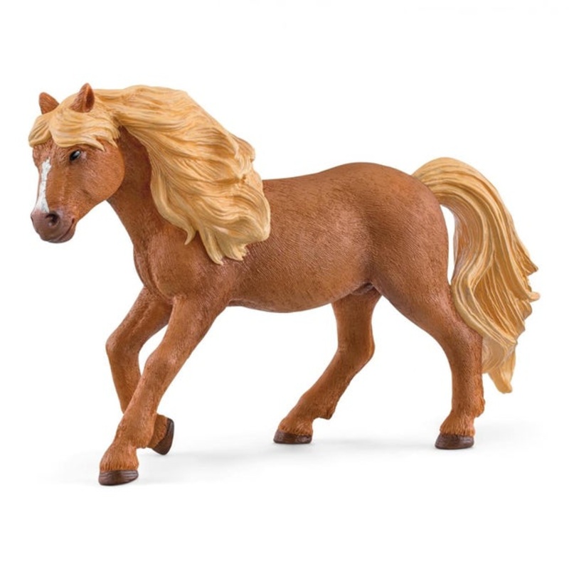 SC Iceland Pony Stallion (Grey Dot)