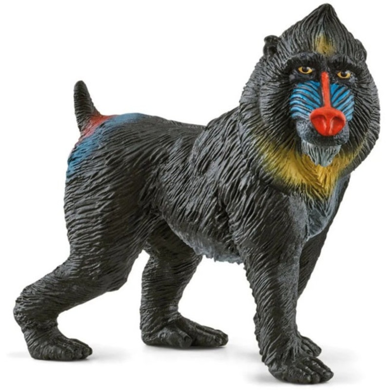 SC Mandrill (Grey Dot)