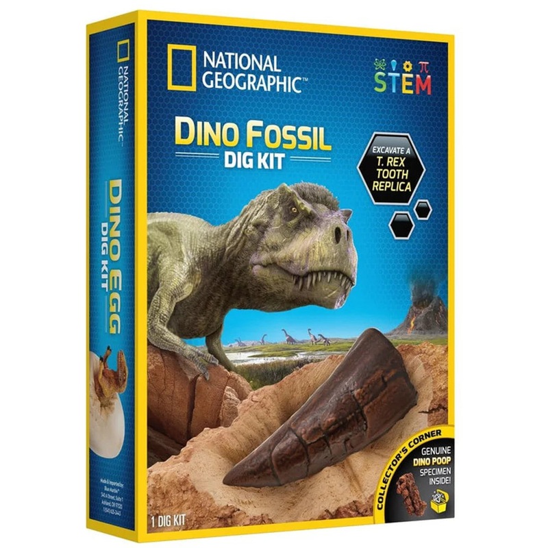 NG Dino Dig Kit