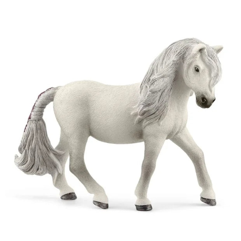SC Iceland Pony Mare (Grey Dot)