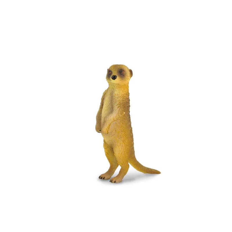 CO Meerkat Standing (S)