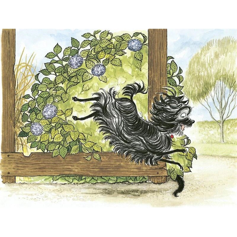 Hairy Maclary Scattercat Pounce