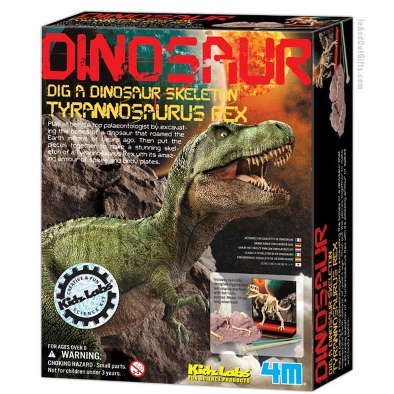 T Rex Skeleton Excavation Kit