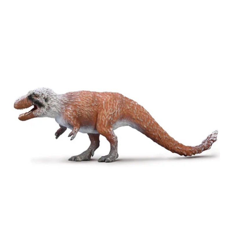CO Nanuqsaurus (M)