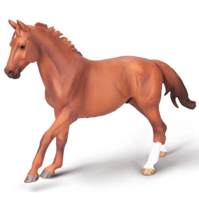 CO Phar Lap Stallion (XL)