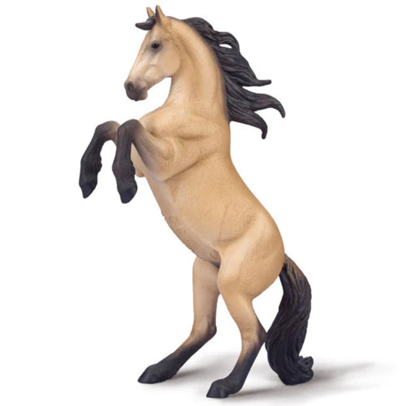 CO Warlander Mare Rearing Buckskin (XL)