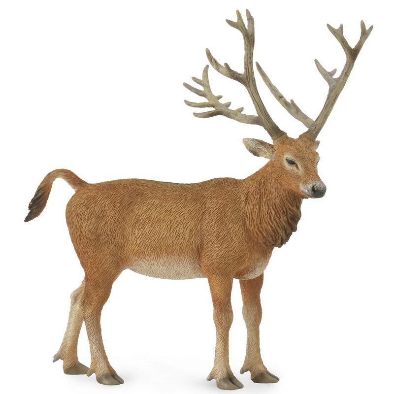 CO Pere Davids Deer (L)