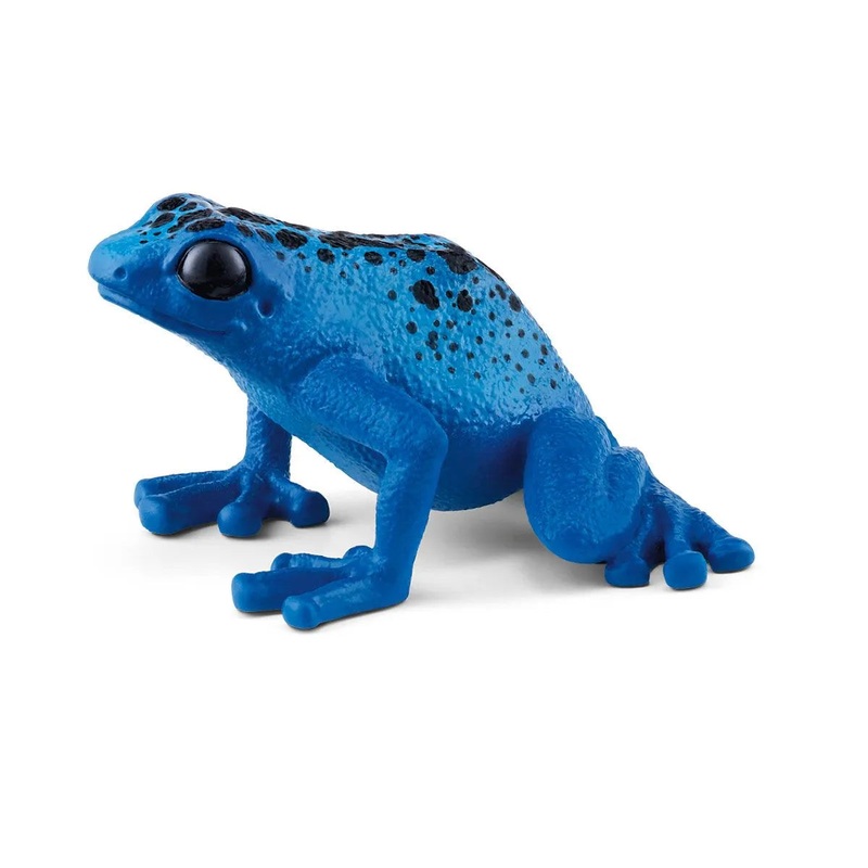 SC Blue Poison Dart Frog (Green Dot)