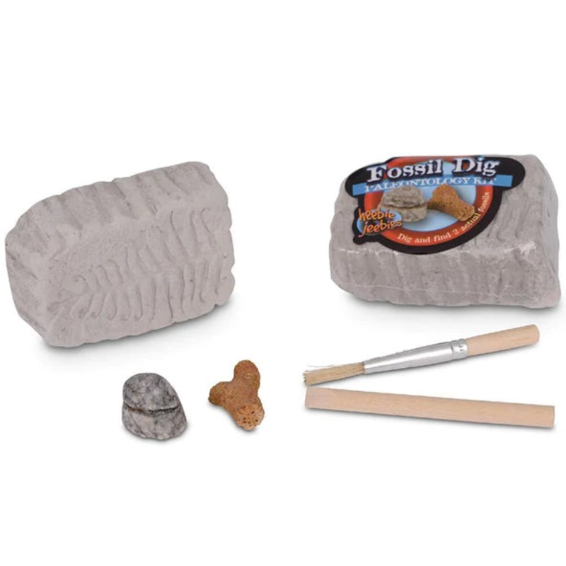 HJ Fossil Dig Paleo Kit