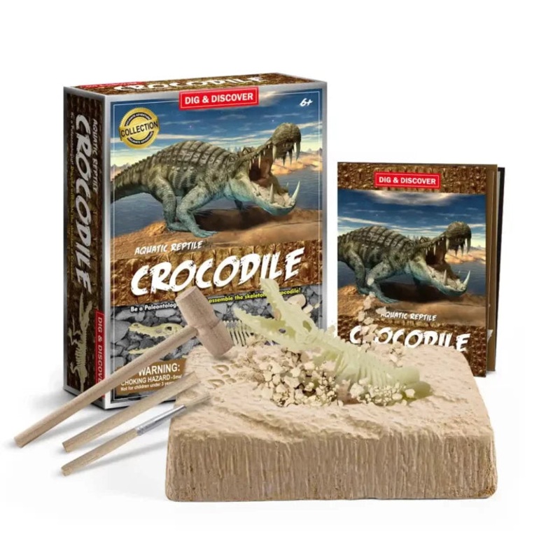 Piano Potato Crocodile Dig Kit