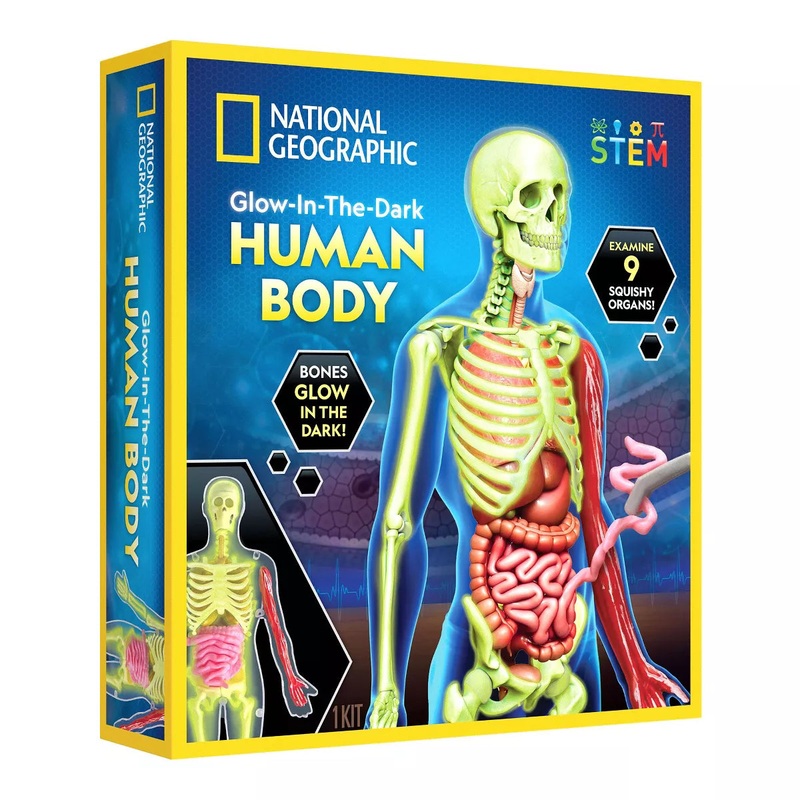 NG Human Body Science Kit