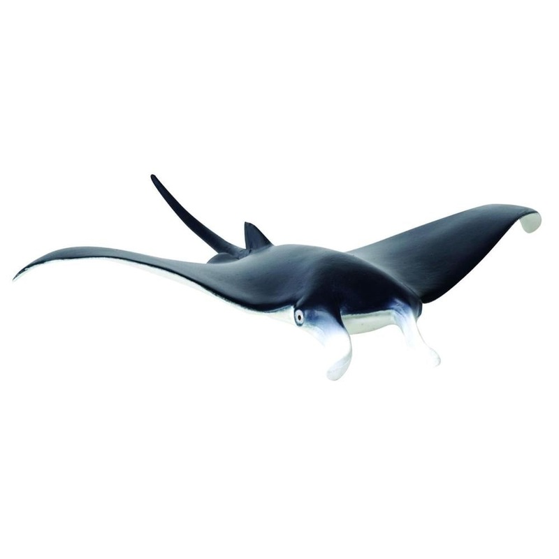 CO Manta Ray (M)
