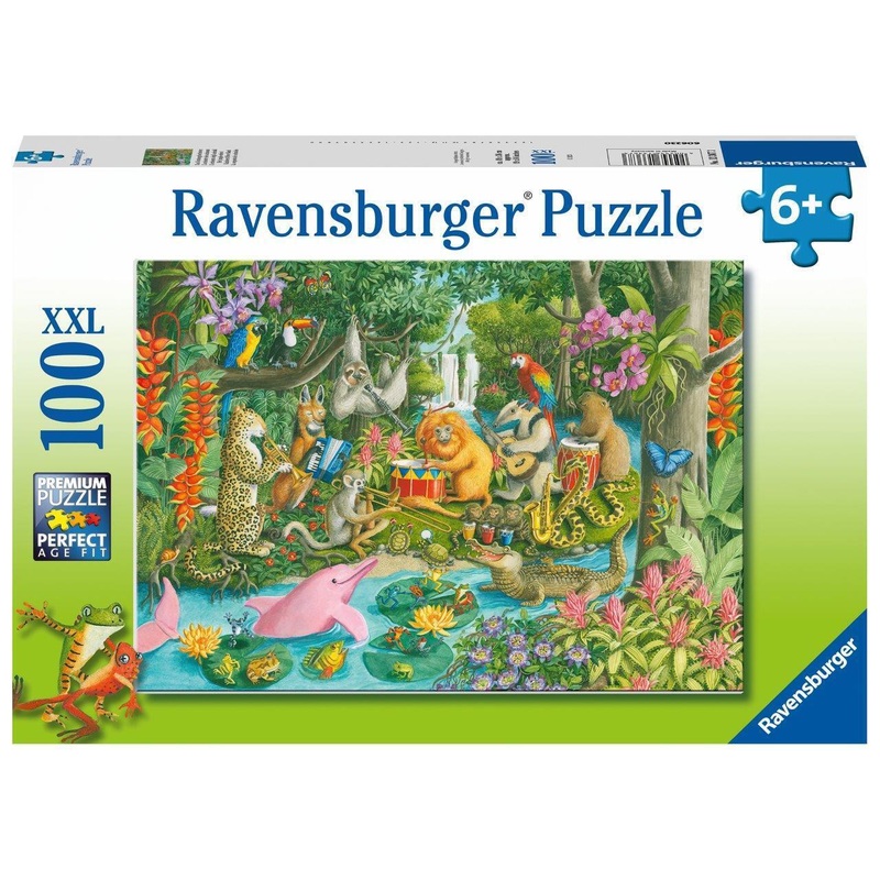 RB Rainforest River Band 100pc