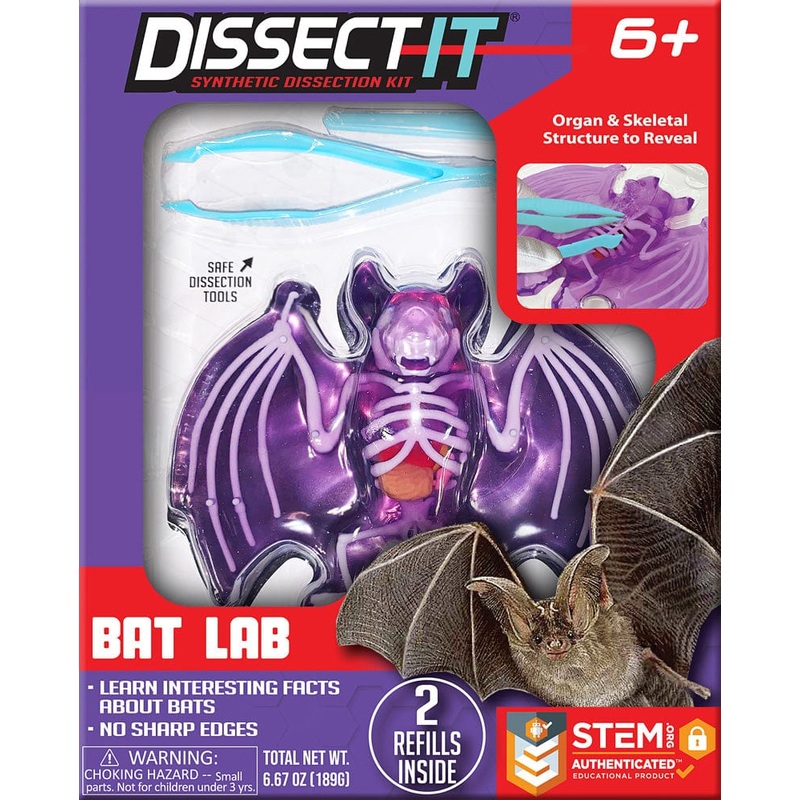 Dissect - It Bat Lab