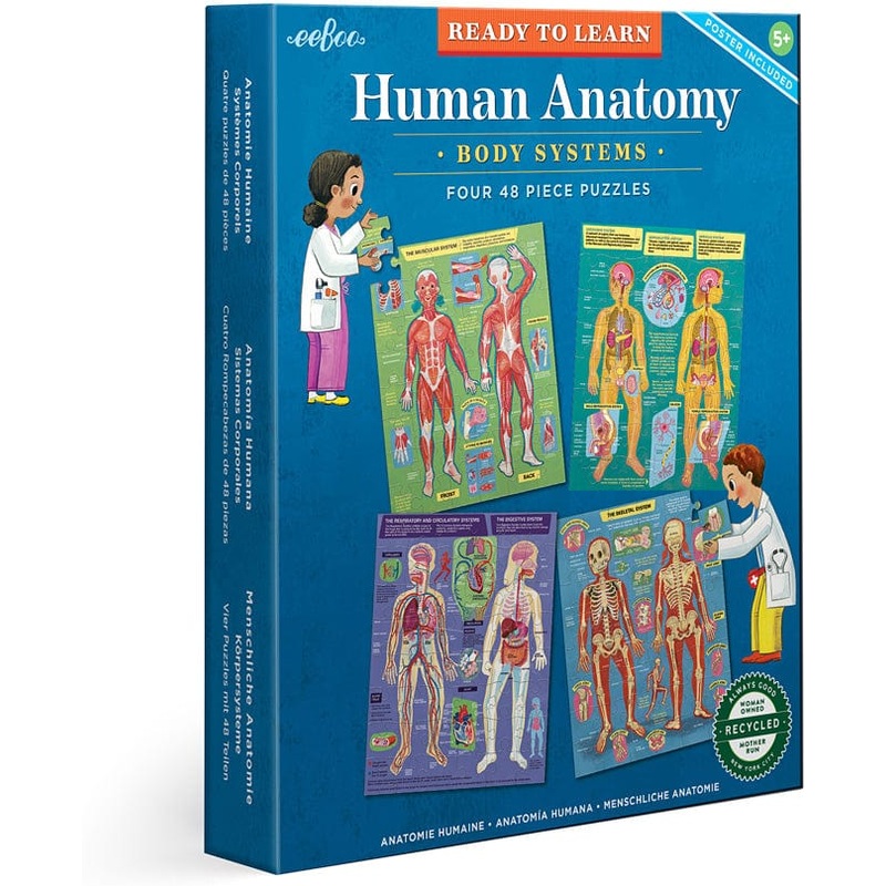 Eeboo Human Anatomy Body Systems - Four 48 Piece Puzzles