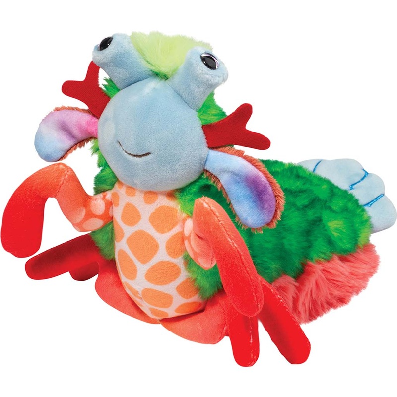 Punchie Mantis Shrimp