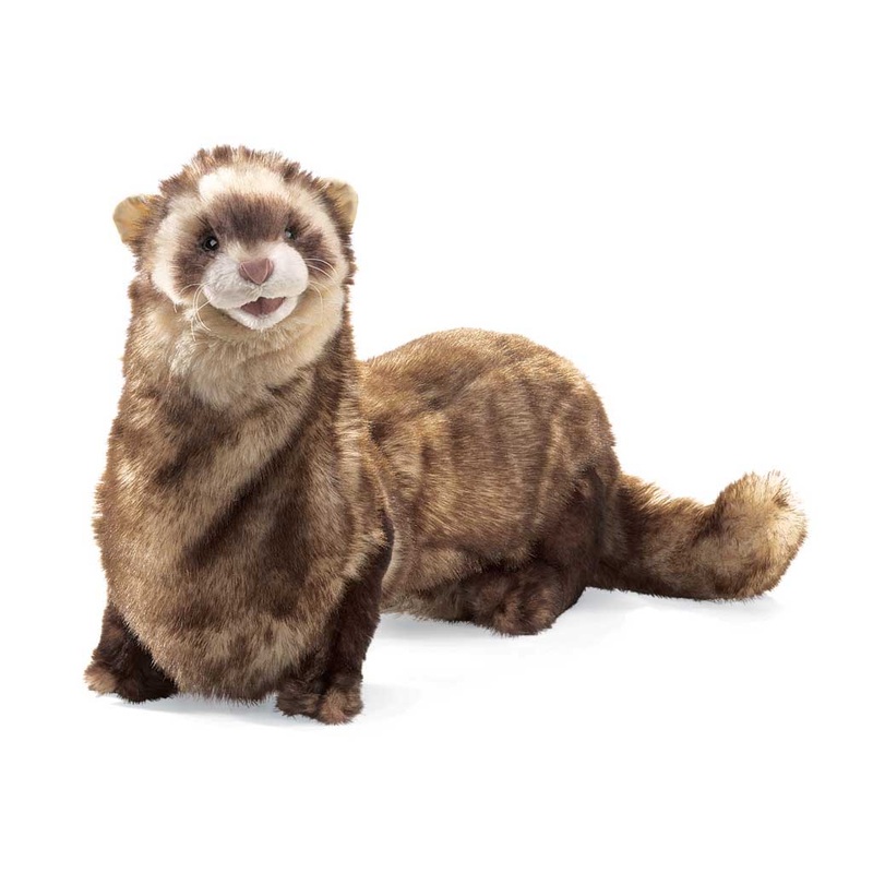 Ferret Puppet