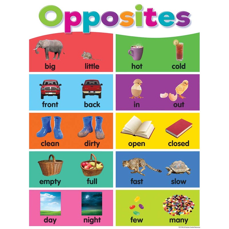 Teacher Created Resources Colorful Opposites Chart