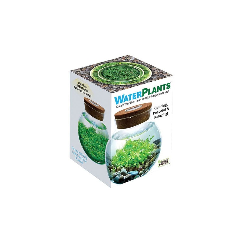 WaterPlants